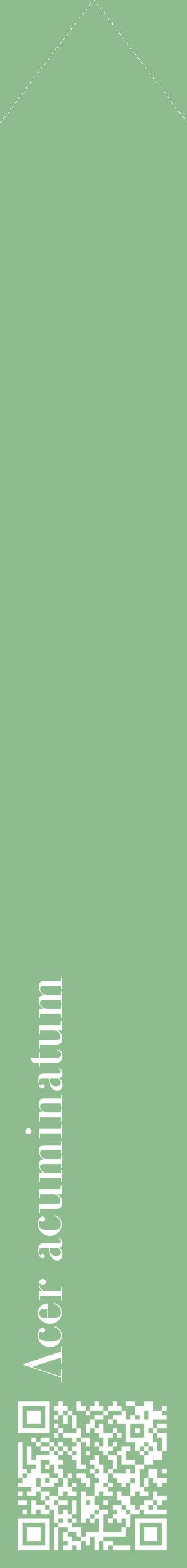 Étiquette de : Acer acuminatum - format c - style blanche13_simplebod avec qrcode et comestibilité