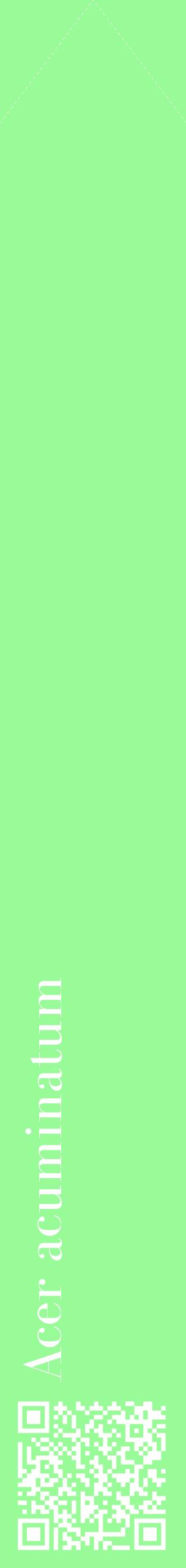 Étiquette de : Acer acuminatum - format c - style blanche14_simplebod avec qrcode et comestibilité