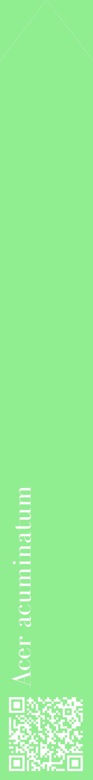 Étiquette de : Acer acuminatum - format c - style blanche15_simplebod avec qrcode et comestibilité