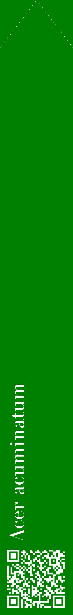 Étiquette de : Acer acuminatum - format c - style blanche9_simplebod avec qrcode et comestibilité