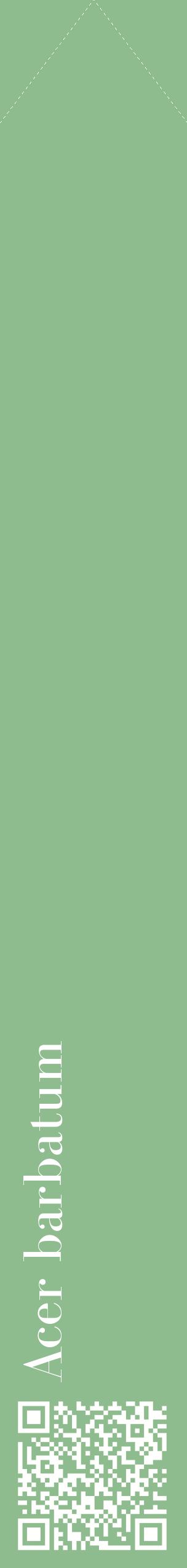 Étiquette de : Acer barbatum - format c - style blanche13_simplebod avec qrcode et comestibilité
