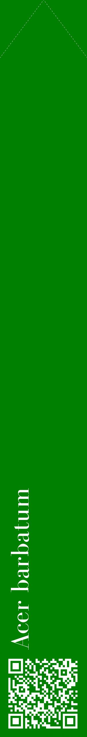 Étiquette de : Acer barbatum - format c - style blanche9_simplebod avec qrcode et comestibilité