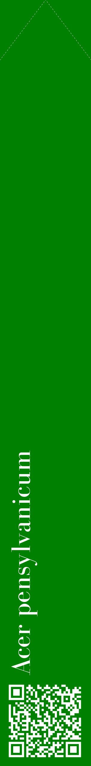 Étiquette de : Acer pensylvanicum - format c - style blanche9_simplebod avec qrcode et comestibilité