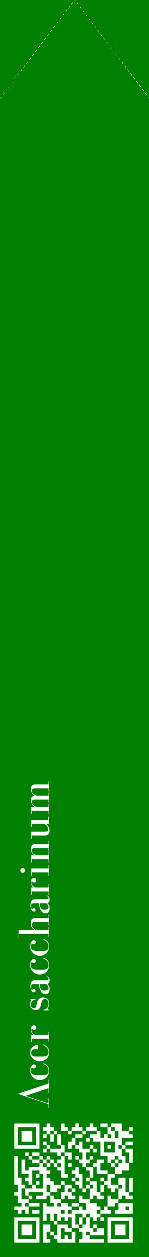 Étiquette de : Acer saccharinum - format c - style blanche9_simplebod avec qrcode et comestibilité