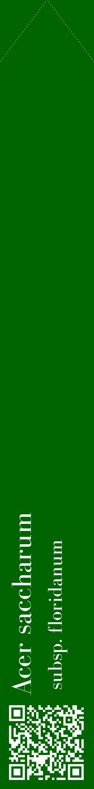 Étiquette de : Acer saccharum subsp. floridanum - format c - style blanche8_simplebod avec qrcode et comestibilité