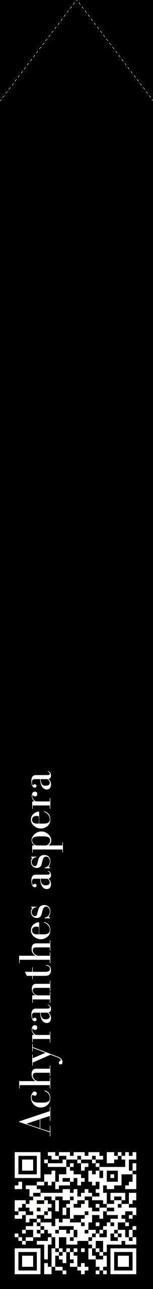 Étiquette de : Achyranthes aspera - format c - style blanche59_simplebod avec qrcode et comestibilité