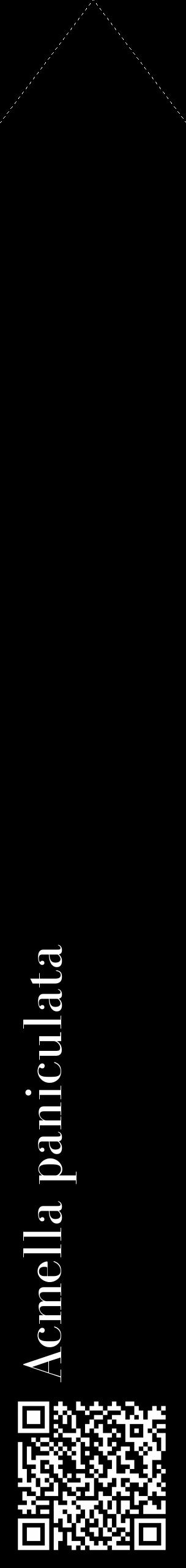 Étiquette de : Acmella paniculata - format c - style blanche59_simple_simplebod avec qrcode et comestibilité - position verticale