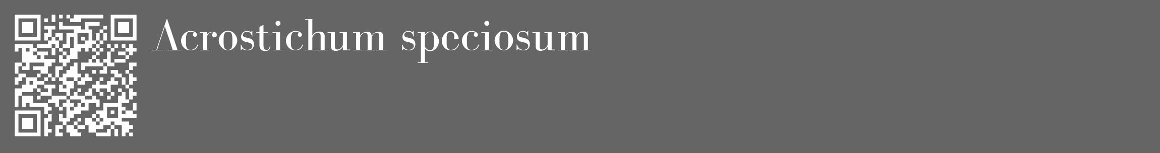 Étiquette de : Acrostichum speciosum - format c - style blanche32_basique_basiquebod avec qrcode et comestibilité