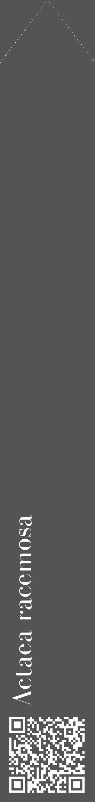 Étiquette de : Actaea racemosa - format c - style blanche30_simple_simplebod avec qrcode et comestibilité - position verticale