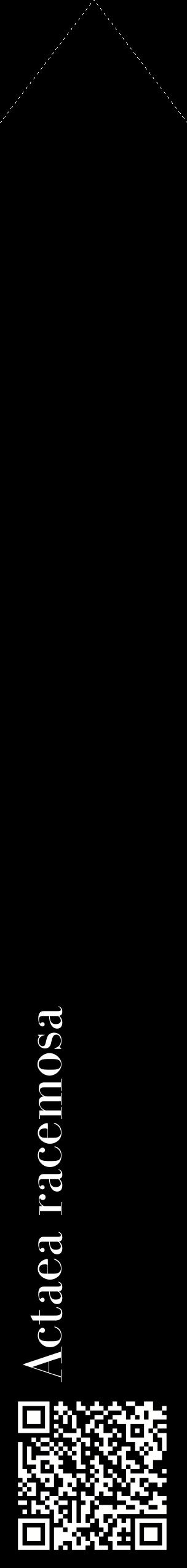 Étiquette de : Actaea racemosa - format c - style blanche59_simplebod avec qrcode et comestibilité