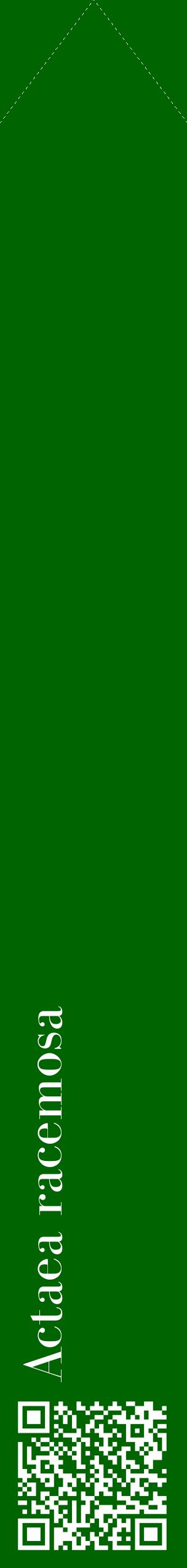 Étiquette de : Actaea racemosa - format c - style blanche8_simplebod avec qrcode et comestibilité