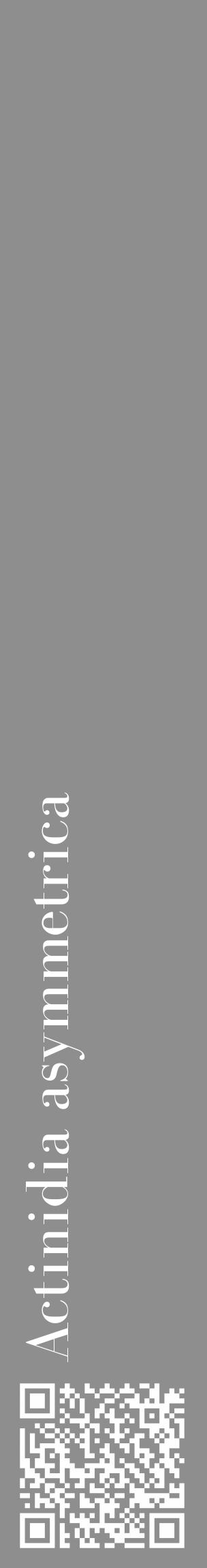 Étiquette de : Actinidia asymmetrica - format c - style blanche25_basique_basiquebod avec qrcode et comestibilité - position verticale