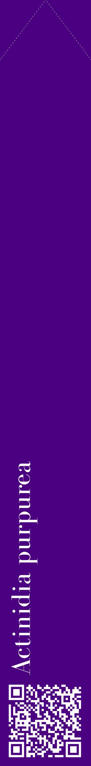 Étiquette de : Actinidia purpurea - format c - style blanche47_simplebod avec qrcode et comestibilité