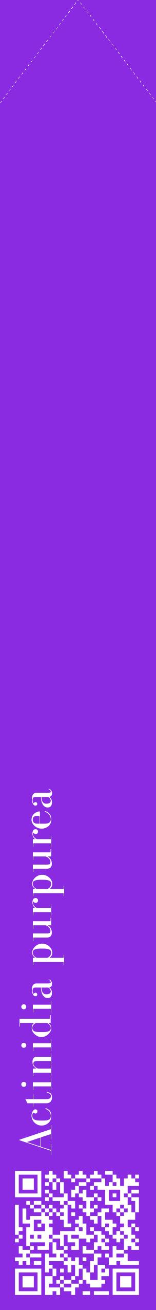 Étiquette de : Actinidia purpurea - format c - style blanche49_simplebod avec qrcode et comestibilité