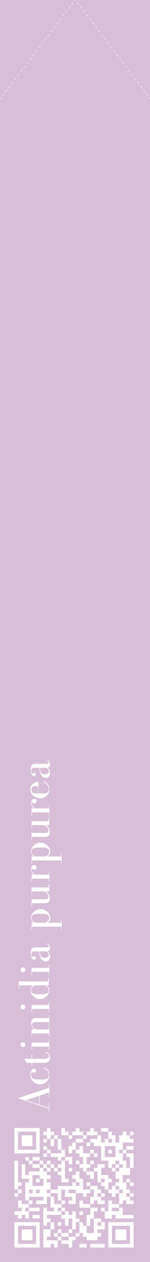 Étiquette de : Actinidia purpurea - format c - style blanche54_simplebod avec qrcode et comestibilité