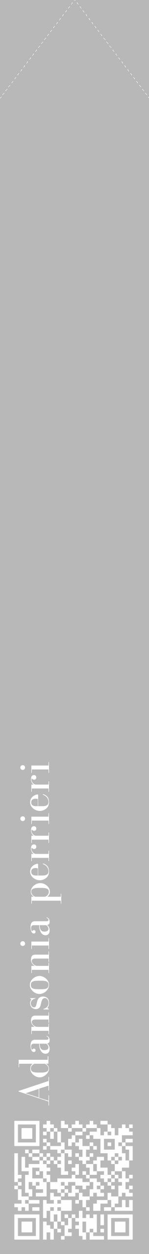 Étiquette de : Adansonia perrieri - format c - style blanche39_simple_simplebod avec qrcode et comestibilité - position verticale