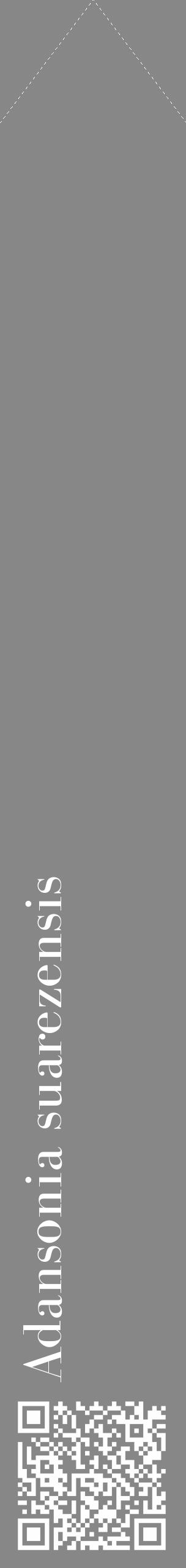 Étiquette de : Adansonia suarezensis - format c - style blanche12_simple_simplebod avec qrcode et comestibilité - position verticale