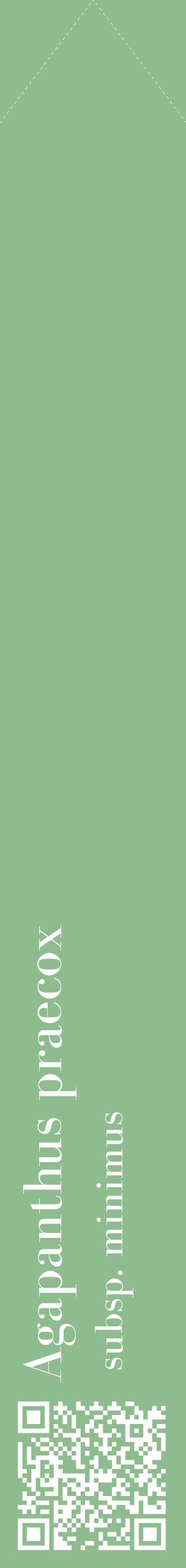 Étiquette de : Agapanthus praecox subsp. minimus - format c - style blanche13_simplebod avec qrcode et comestibilité