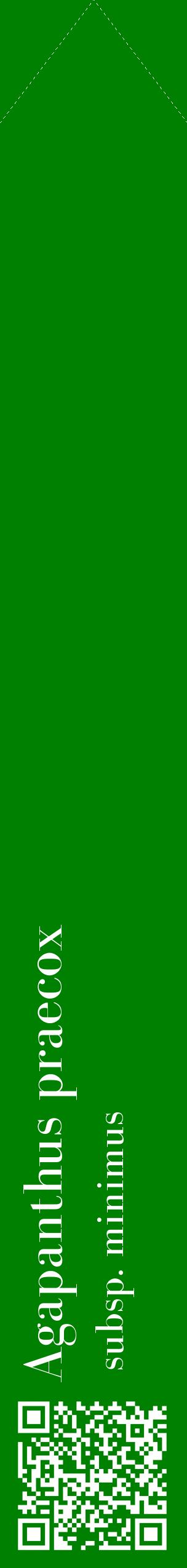 Étiquette de : Agapanthus praecox subsp. minimus - format c - style blanche9_simplebod avec qrcode et comestibilité