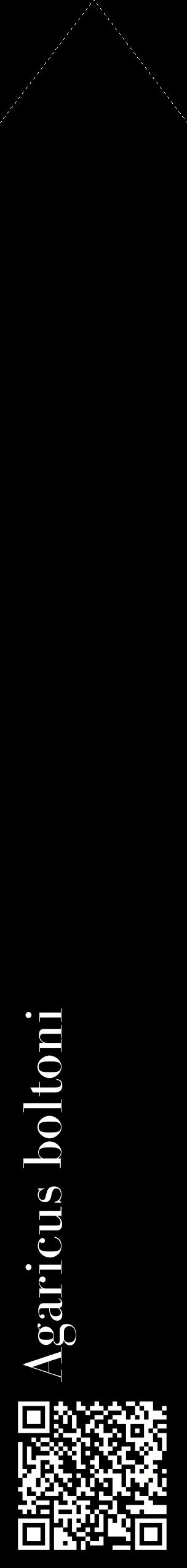 Étiquette de : Agaricus boltoni - format c - style blanche59_simplebod avec qrcode et comestibilité