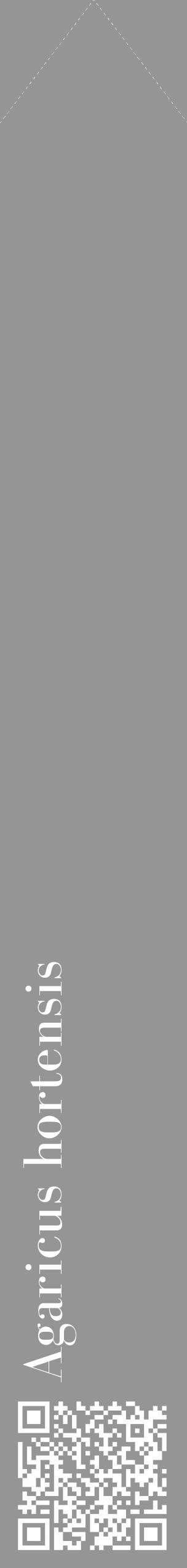 Étiquette de : Agaricus hortensis - format c - style blanche16_simple_simplebod avec qrcode et comestibilité - position verticale