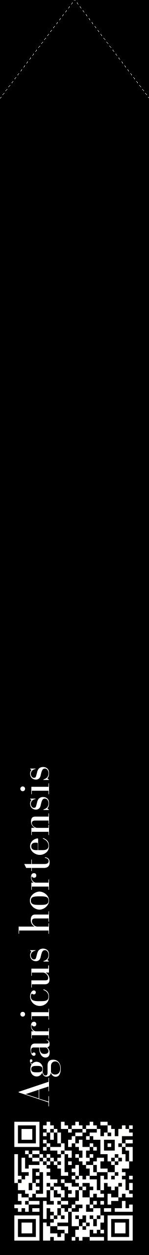 Étiquette de : Agaricus hortensis - format c - style blanche59_simplebod avec qrcode et comestibilité