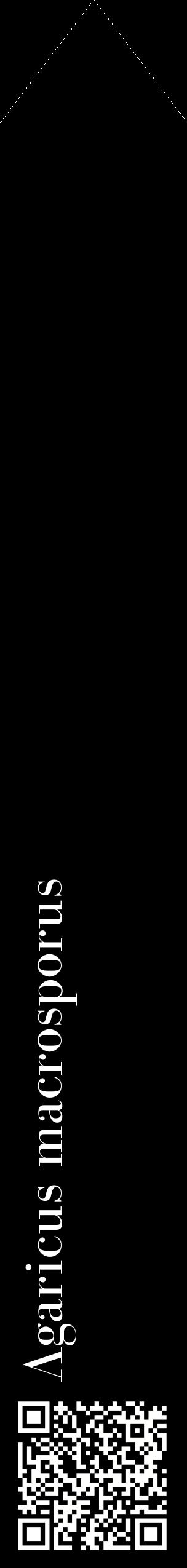 Étiquette de : Agaricus macrosporus - format c - style blanche59_simplebod avec qrcode et comestibilité