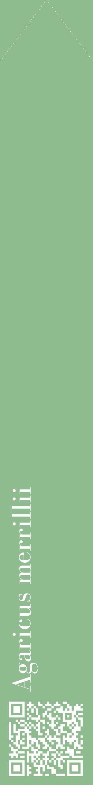 Étiquette de : Agaricus merrillii - format c - style blanche13_simplebod avec qrcode et comestibilité