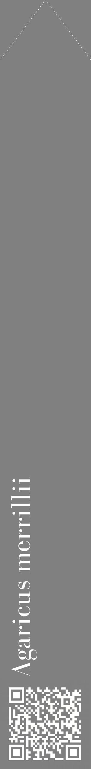 Étiquette de : Agaricus merrillii - format c - style blanche57_simplebod avec qrcode et comestibilité
