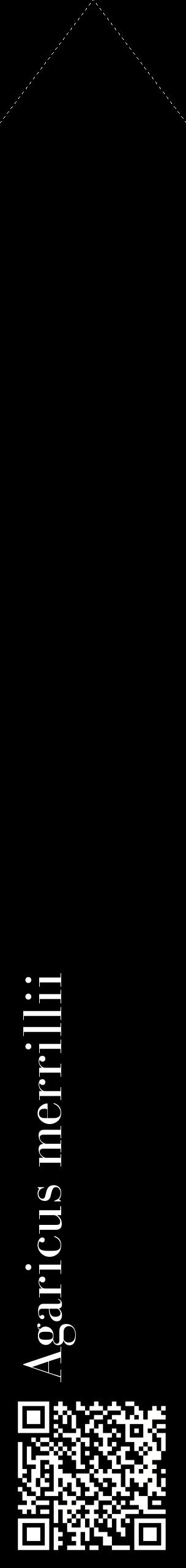 Étiquette de : Agaricus merrillii - format c - style blanche59_simplebod avec qrcode et comestibilité