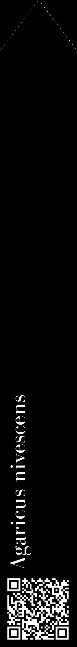 Étiquette de : Agaricus nivescens - format c - style blanche59_simplebod avec qrcode et comestibilité