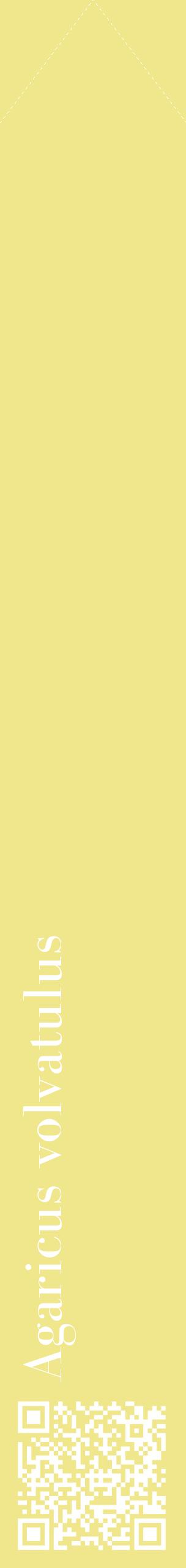 Étiquette de : Agaricus volvatulus - format c - style blanche20_simplebod avec qrcode et comestibilité
