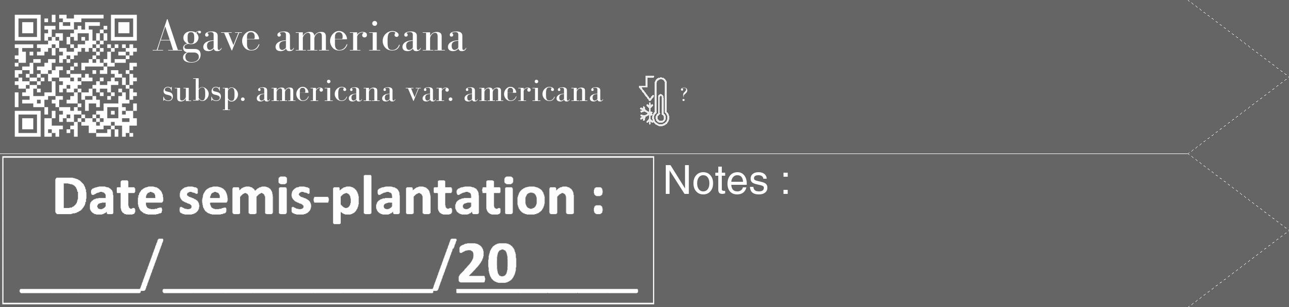 Étiquette de : Agave americana subsp. americana var. americana - format c - style blanche32_simple_simplebod avec qrcode et comestibilité