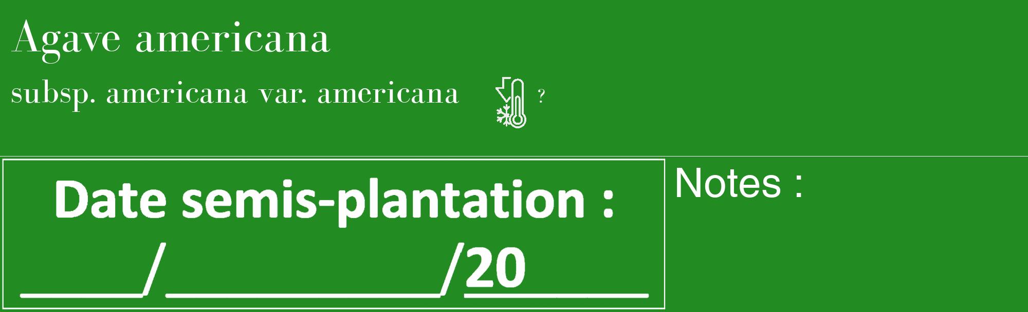Étiquette de : Agave americana subsp. americana var. americana - format c - style blanche10_basique_basiquebod avec comestibilité