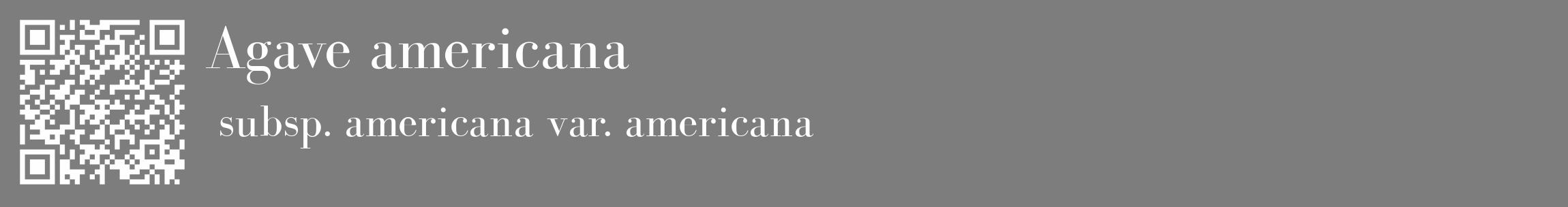 Étiquette de : Agave americana subsp. americana var. americana - format c - style blanche35_basique_basiquebod avec qrcode et comestibilité