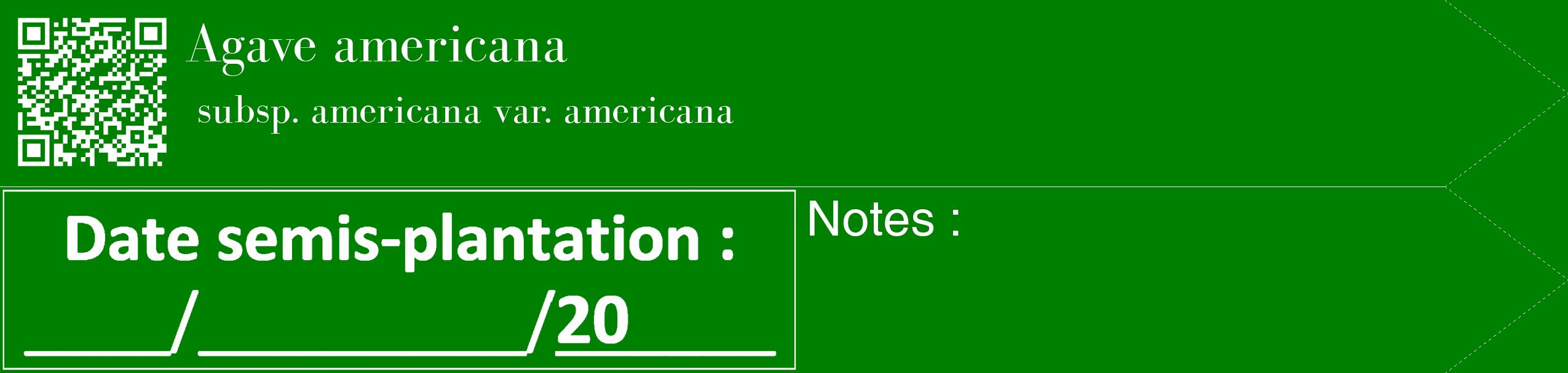 Étiquette de : Agave americana subsp. americana var. americana - format c - style blanche9_simple_simplebod avec qrcode et comestibilité