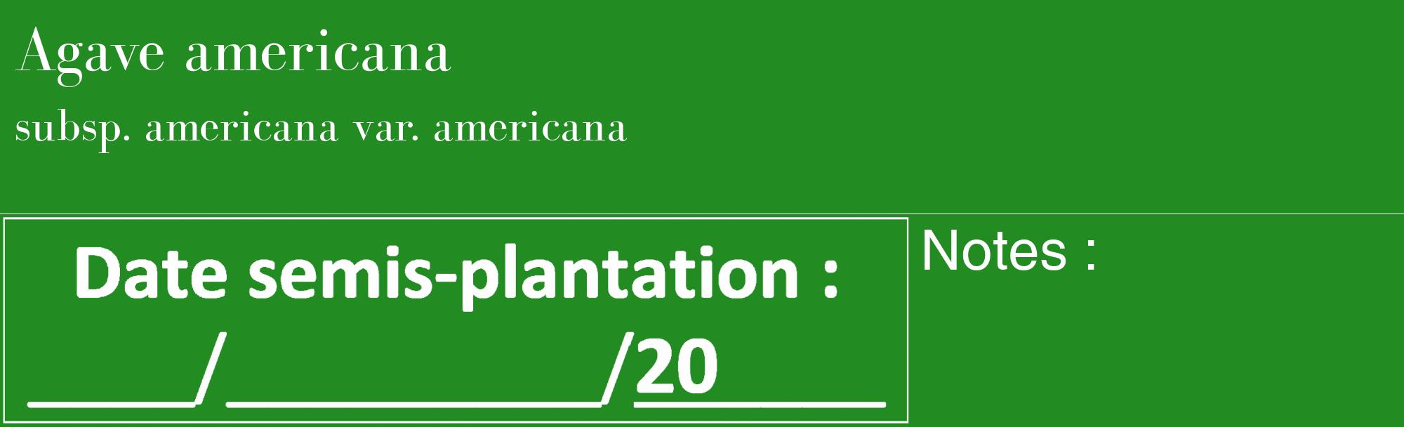 Étiquette de : Agave americana subsp. americana var. americana - format c - style blanche10_basique_basiquebod avec comestibilité