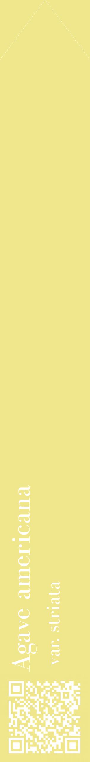 Étiquette de : Agave americana var. striata - format c - style blanche20_simplebod avec qrcode et comestibilité