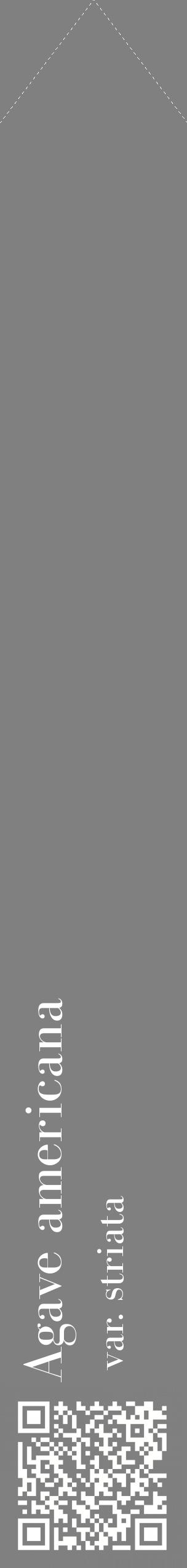Étiquette de : Agave americana var. striata - format c - style blanche57_simplebod avec qrcode et comestibilité