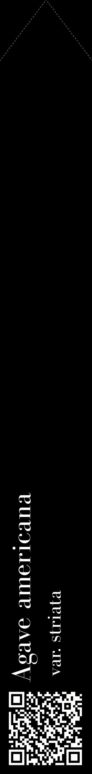 Étiquette de : Agave americana var. striata - format c - style blanche59_simplebod avec qrcode et comestibilité