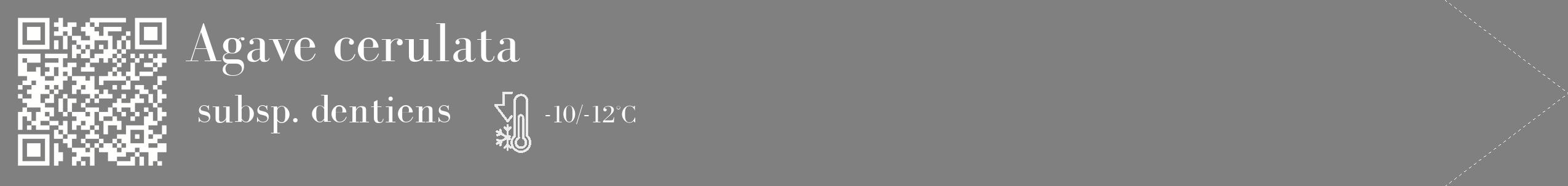 Étiquette de : Agave cerulata subsp. dentiens - format c - style blanche57_simple_simplebod avec qrcode et comestibilité