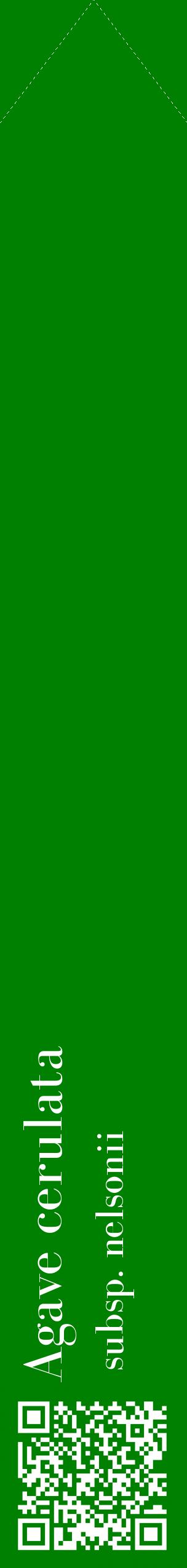 Étiquette de : Agave cerulata subsp. nelsonii - format c - style blanche9_simplebod avec qrcode et comestibilité