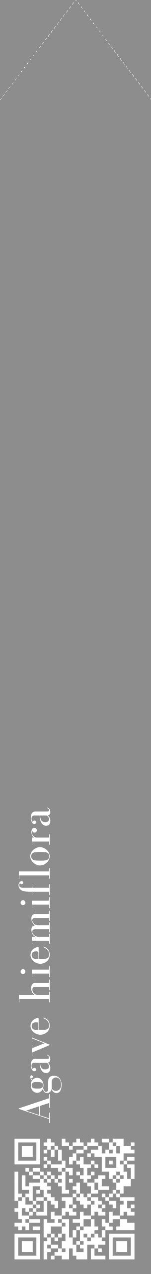 Étiquette de : Agave hiemiflora - format c - style blanche2_simple_simplebod avec qrcode et comestibilité - position verticale