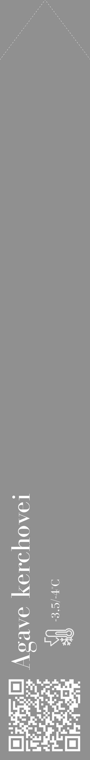 Étiquette de : Agave kerchovei - format c - style blanche4_simple_simplebod avec qrcode et comestibilité - position verticale