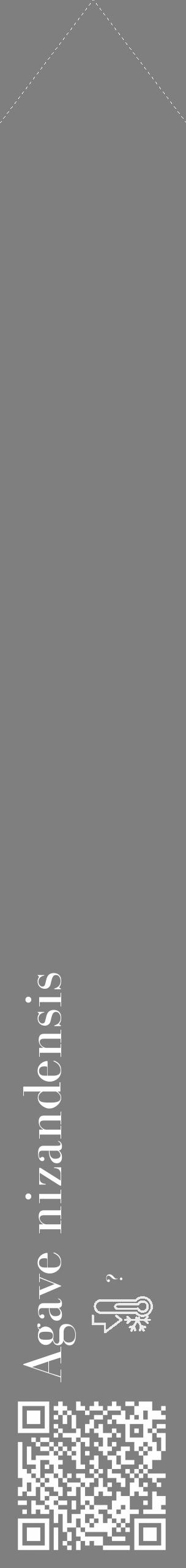 Étiquette de : Agave nizandensis - format c - style blanche31_simple_simplebod avec qrcode et comestibilité - position verticale
