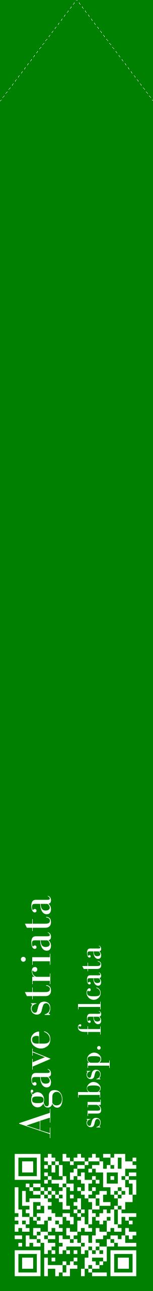 Étiquette de : Agave striata subsp. falcata - format c - style blanche9_simplebod avec qrcode et comestibilité
