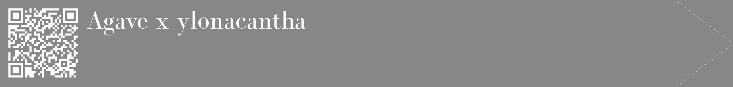 Étiquette de : Agave x ylonacantha - format c - style blanche12_simple_simplebod avec qrcode et comestibilité
