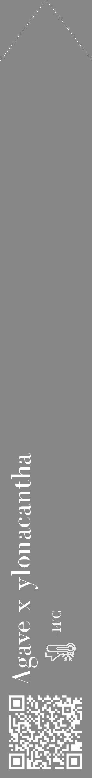 Étiquette de : Agave x ylonacantha - format c - style blanche12_simple_simplebod avec qrcode et comestibilité - position verticale