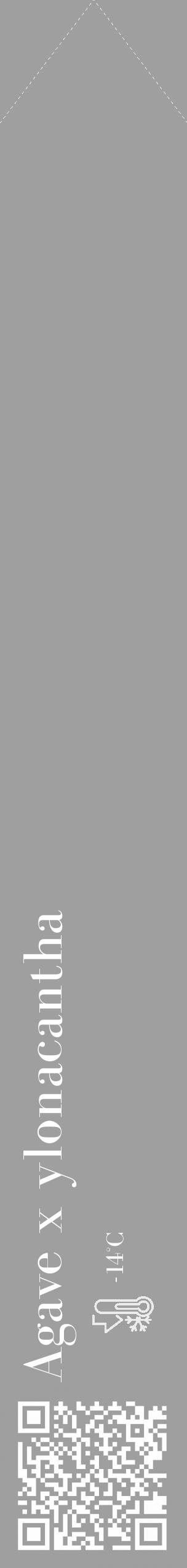 Étiquette de : Agave x ylonacantha - format c - style blanche24_simple_simplebod avec qrcode et comestibilité - position verticale