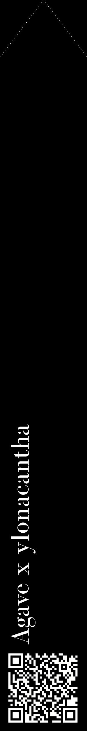 Étiquette de : Agave x ylonacantha - format c - style blanche59_simplebod avec qrcode et comestibilité